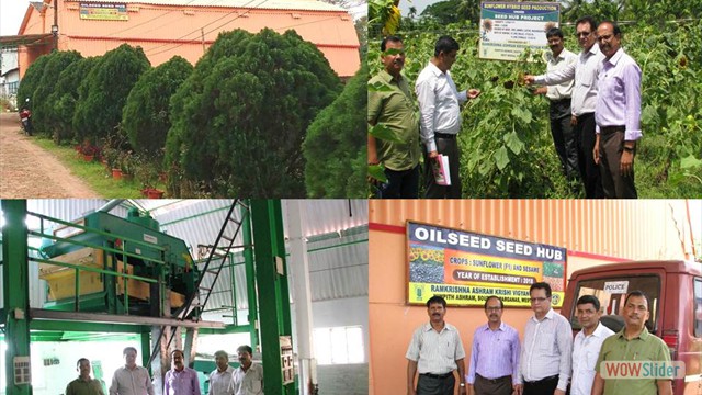 New OilSeed Hub Unit of Nimpith KVK