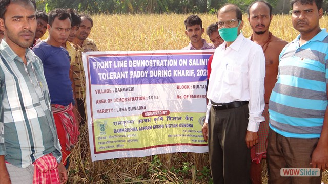 Demonstration of salt tolerant paddy-Luna suwarna at Amphan affected areas of Kultali block