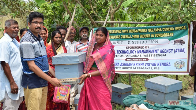 Distribution of beehives under ATMA programme
