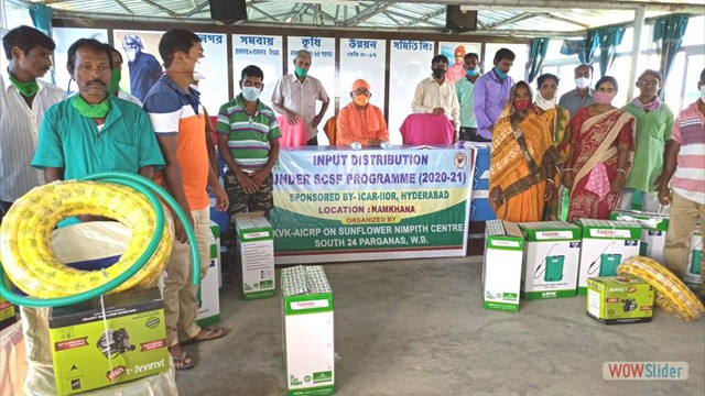 Input distribution for Sunflower Farmers under SCSP Programme of AICRP (Sunflower) at Namkhana