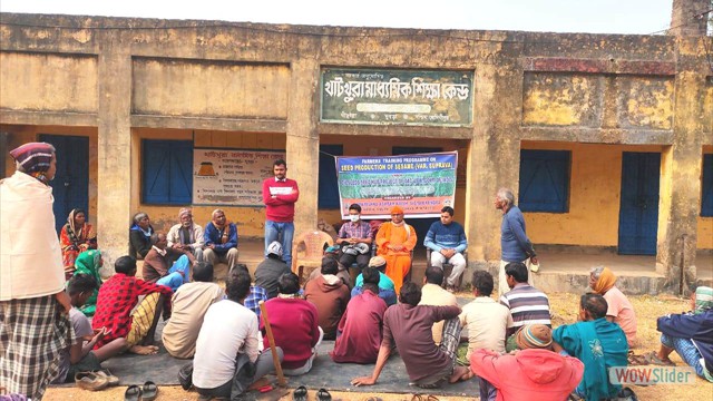 Sesame Certified Seed Production under Seed Hub Project at Jhargram during February, 2021