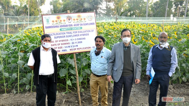 Visit of State & Central Govt. officials in the trial plots of sunflower hybrids under RAKVK-AICRP on Sunflower