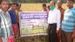 Demonstration of salt tolerant paddy-Luna suwarna at Amphan affected areas of Kultali block