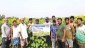 Field Day under RAKVK-AICRP on Sunflower at Sitarampur, Kakdwip