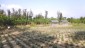 Implementation of integrated farming system project at KVK-Instructional Farm