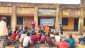 Sesame Certified Seed Production under Seed Hub Project at Jhargram during February, 2021