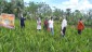 Visit to a Coconut Nursery at Raidighi as Member of CDB Coconut Nursery Accreditation programme